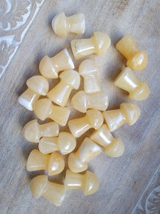 Mini Yellow Jade Mushroom