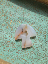 Load image into Gallery viewer, Druzy Agate Mushroom
