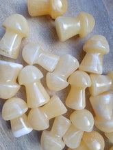 Load image into Gallery viewer, Mini Yellow Jade Mushroom
