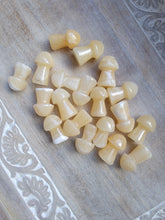 Load image into Gallery viewer, Mini Yellow Jade Mushroom
